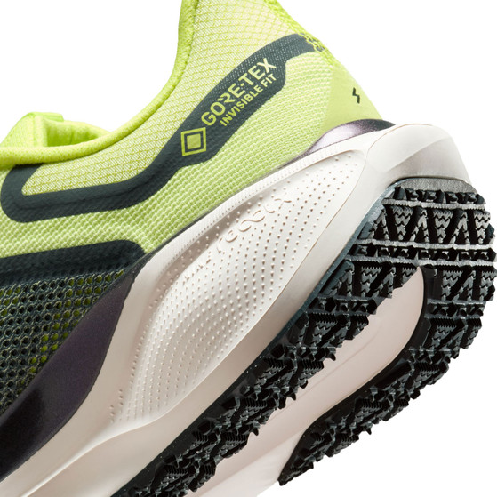 Nike Pegasus 41 GTX Dames