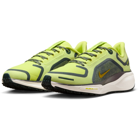Nike Pegasus 41 GTX Dames