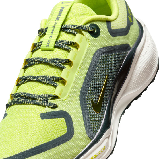 Nike Pegasus 41 GTX Dames