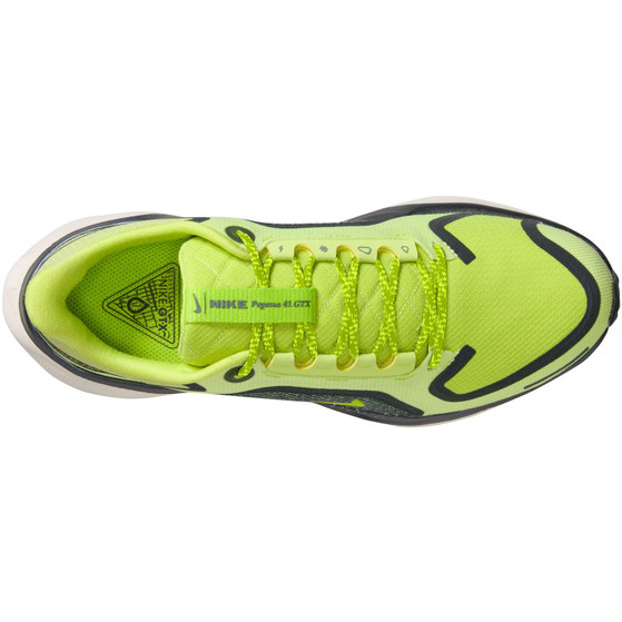 Nike Pegasus 41 GTX Dames