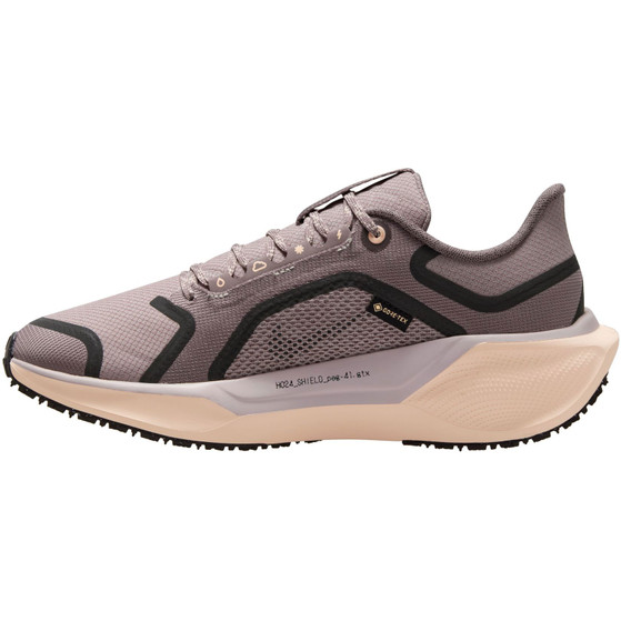 Nike Pegasus 41 GTX Dames