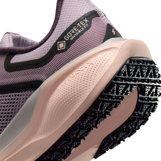 Nike Pegasus 41 GTX Dames