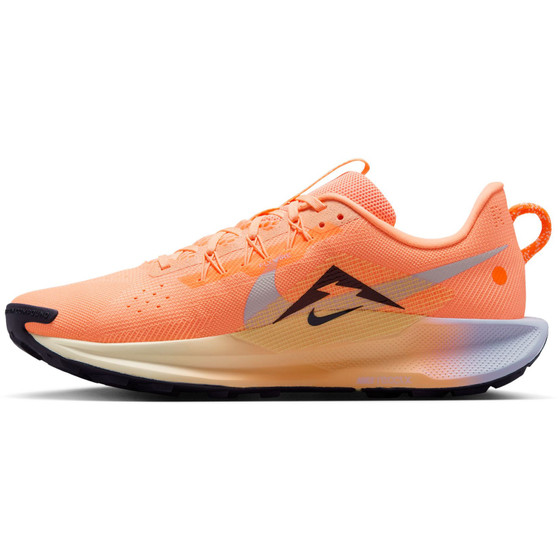 Nike Pegasus Trail 5 Heren