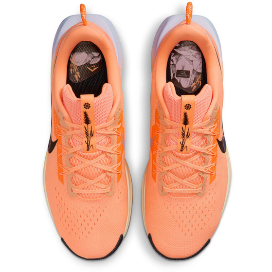 Nike Pegasus Trail 5 Heren