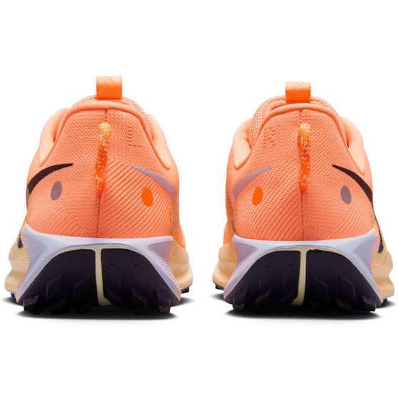 Nike Pegasus Trail 5 Heren