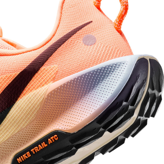 Nike Pegasus Trail 5 Heren