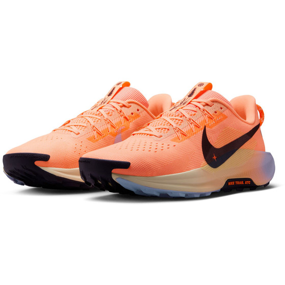 Nike Pegasus Trail 5 Heren
