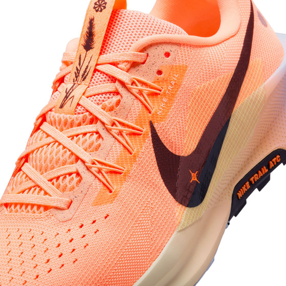 Nike Pegasus Trail 5 Heren