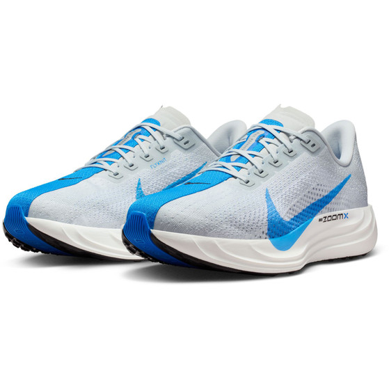 Nike Pegasus Plus Herren