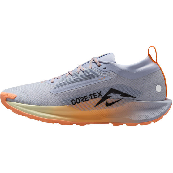 Nike Pegasus Trail 5 GTX Heren