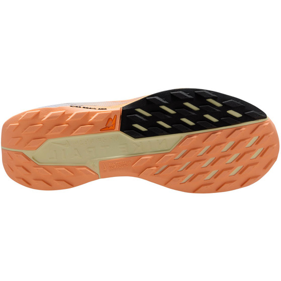 Nike Pegasus Trail 5 GTX Heren