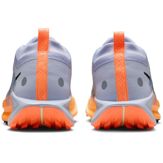 Nike Pegasus Trail 5 GTX Men