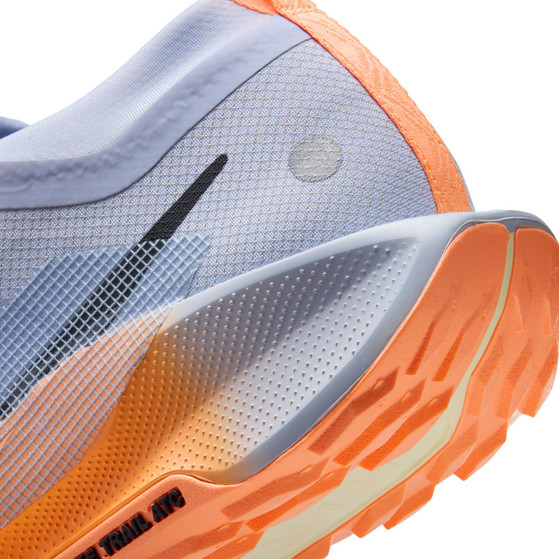 Nike Pegasus Trail 5 GTX Men