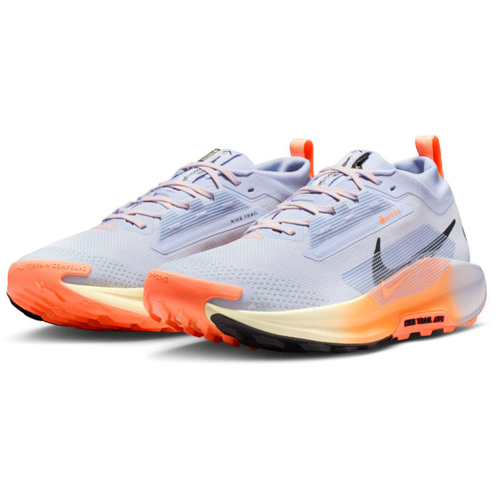 Nike Pegasus Trail 5 GTX Men