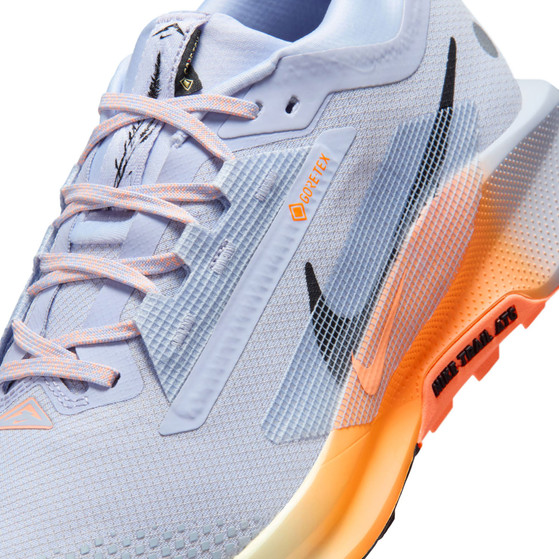 Nike Pegasus Trail 5 GTX Men