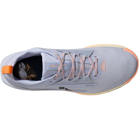 Nike Pegasus Trail 5 GTX Heren