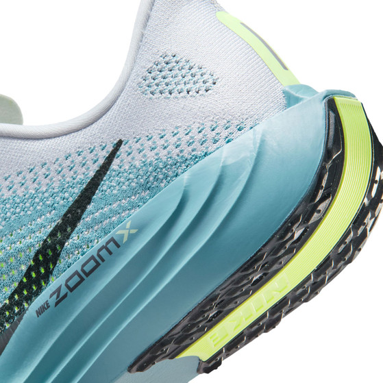 Nike Pegasus Plus Herren