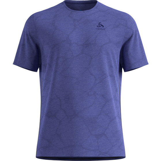 Odlo ZeroWeight Crew Neck Chilltec T-Shirt Herren