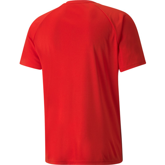 Puma Teamliga Shirt