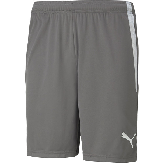Puma Teamliga Short