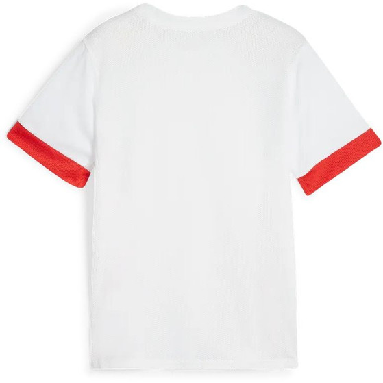 Puma GOAL Training Shirt Kids