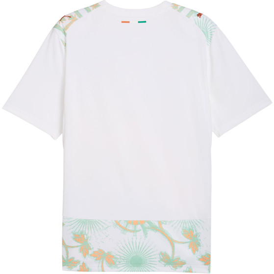Puma Ivory Coast Away Shirt World Cup 2026