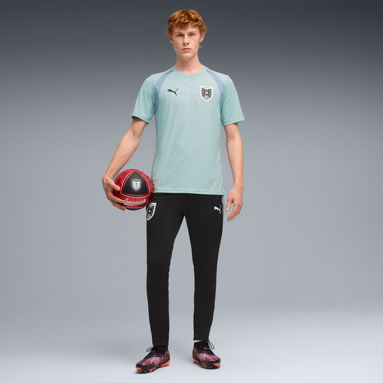 Puma Austria Training Shirt WC 2026