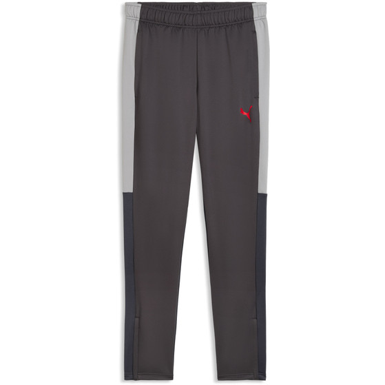 Puma LIGA Training Pant