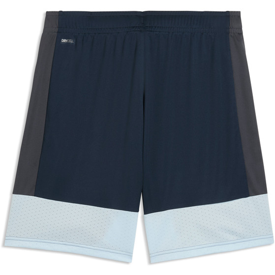 Puma LIGA Training Short