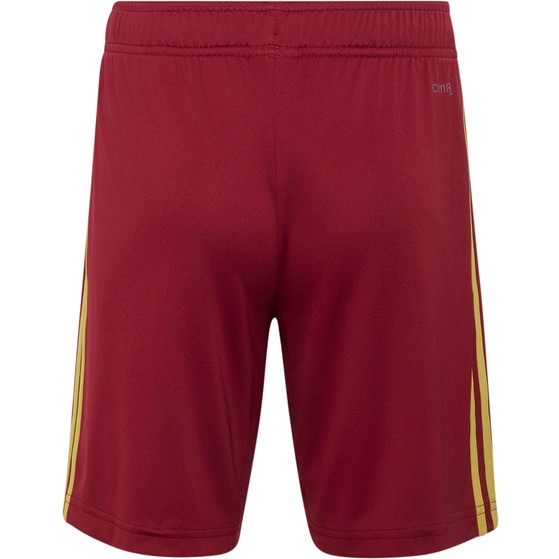 adidas Spanje Pre-Match Trainingsset WK 2026