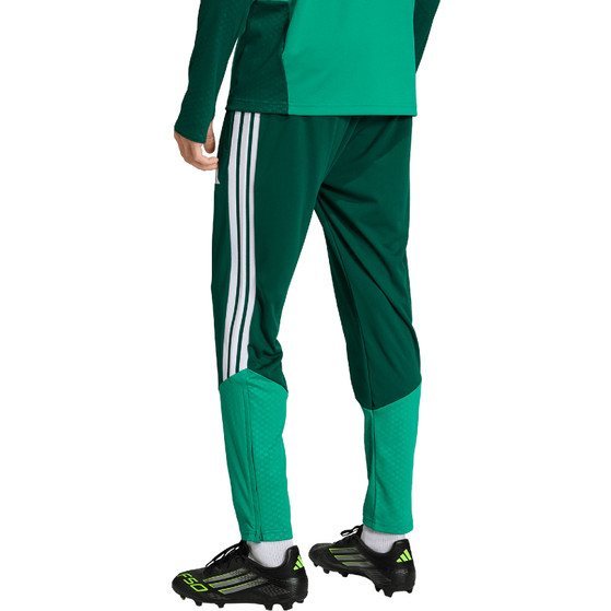 adidas Algeria Tracksuit WC 2026