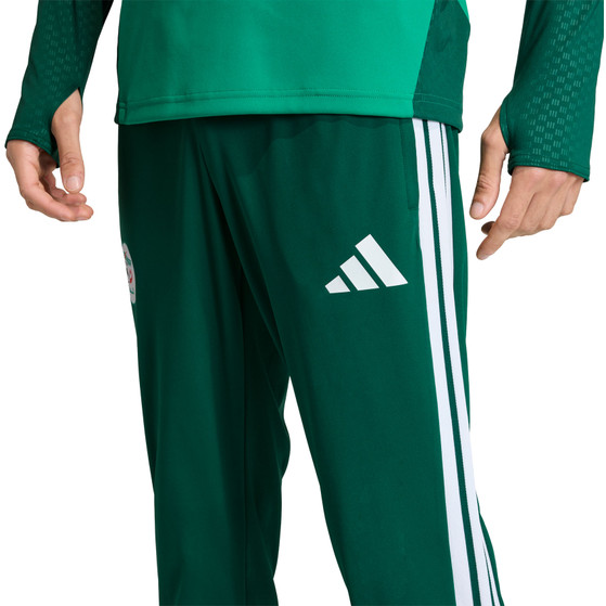 adidas Algeria Tracksuit WC 2026