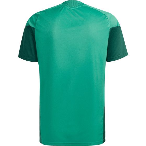 adidas Algeria Training Shirt WC 2026