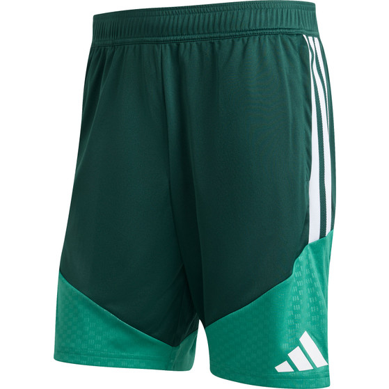 adidas Algeria Training Shorts WC 2026