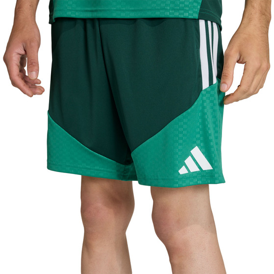 adidas Algeria Training Shorts WC 2026