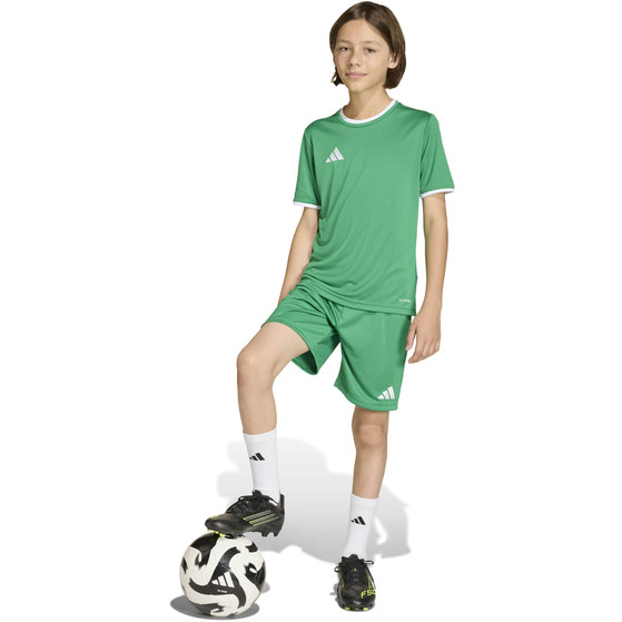 adidas Entrada 26 Training Shirt Kids
