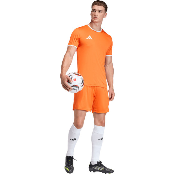 adidas Entrada 26 Training Short