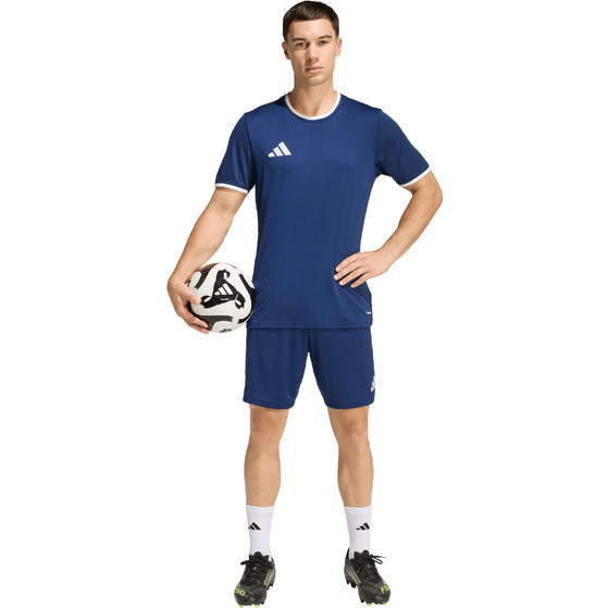 adidas Entrada 26 Training Short