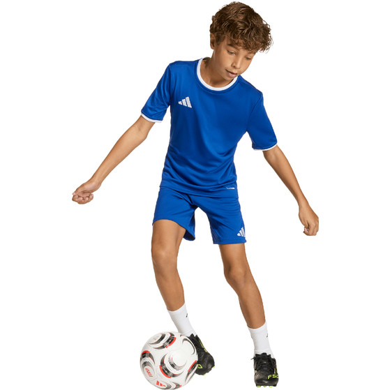 adidas Entrada 26 Training Short Kids