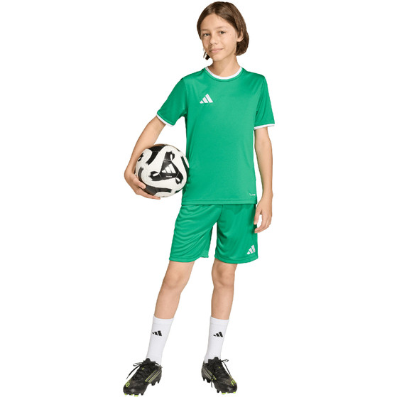 adidas Entrada 26 Training Short Kids