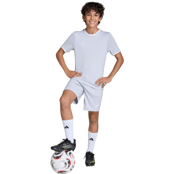 adidas Entrada 26 Training Short Kids