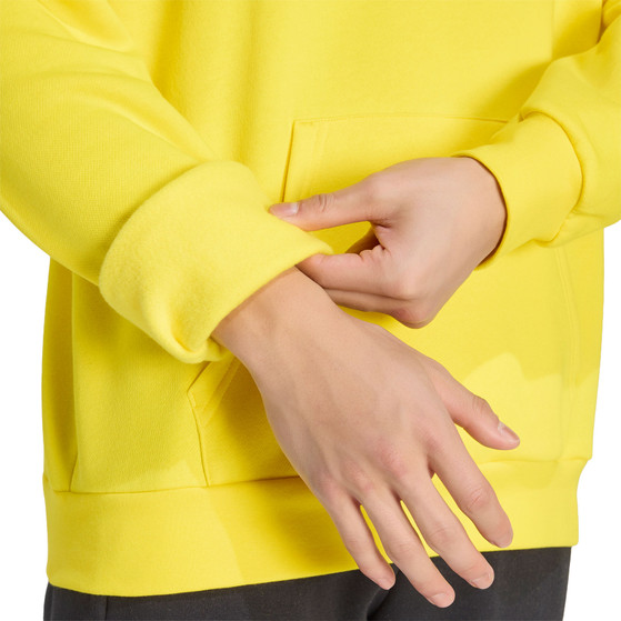 adidas Entrada 26 Sweat Hoody