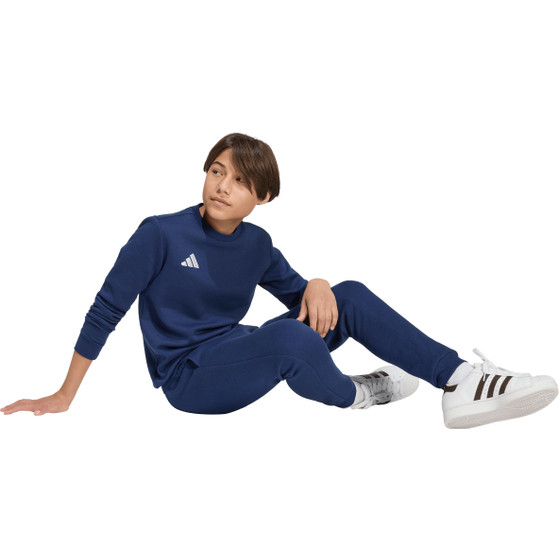 adidas Entrada 26 Sweat Top Kids