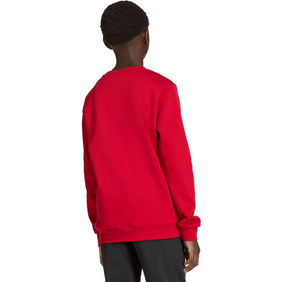 adidas Entrada 26 Sweat Top Kids