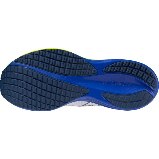 Mizuno Wave Rider 29 Heren
