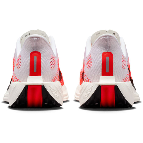 Nike Pegasus Plus Men