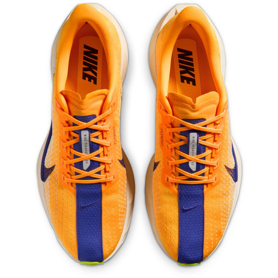 Nike Pegasus Plus Men