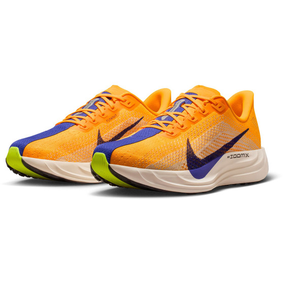 Nike Pegasus Plus Men