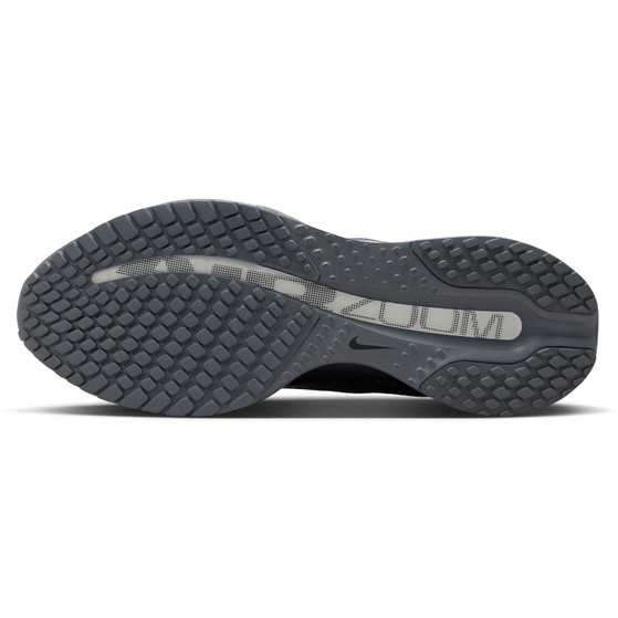 Nike Pegasus Premium Herren