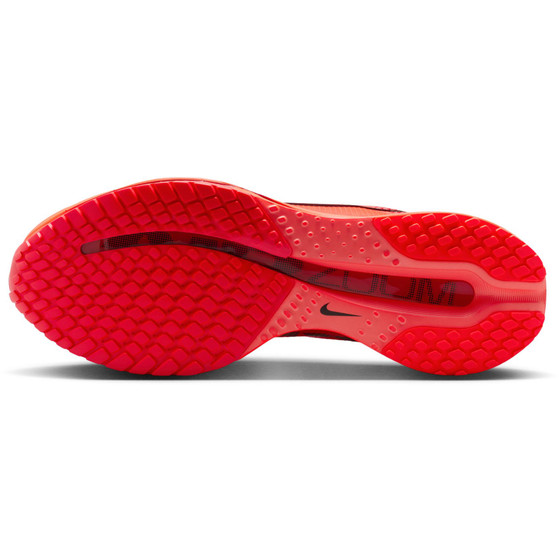 Nike Pegasus Premium Men